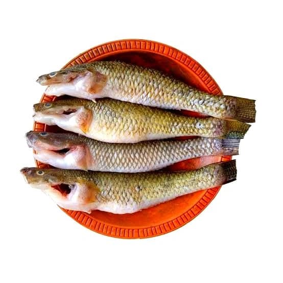 Goby Fish (Bele Mach) - Large size Whole Cleaned( 3-4)