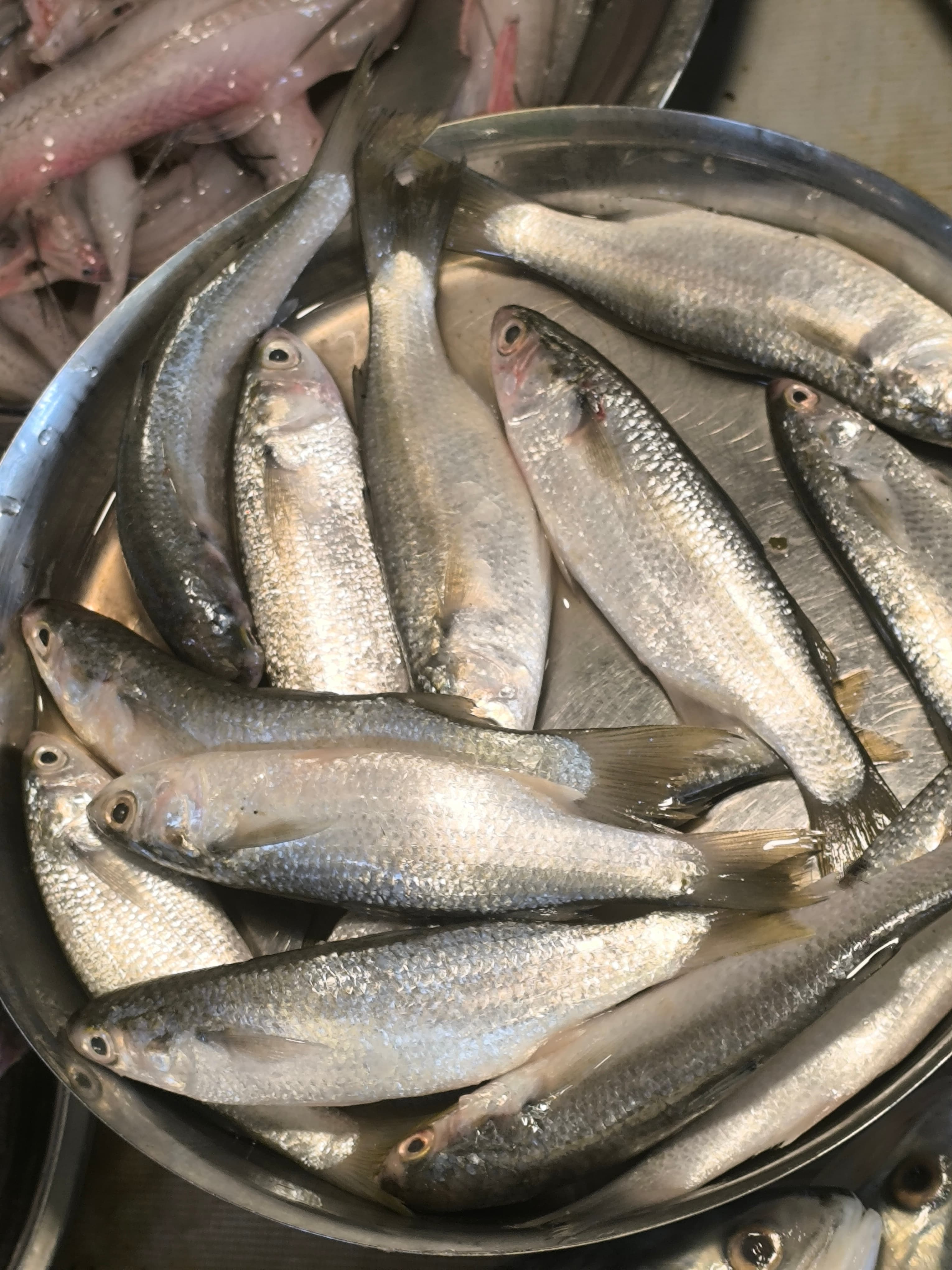Parse Fish - Whole Cleaned 