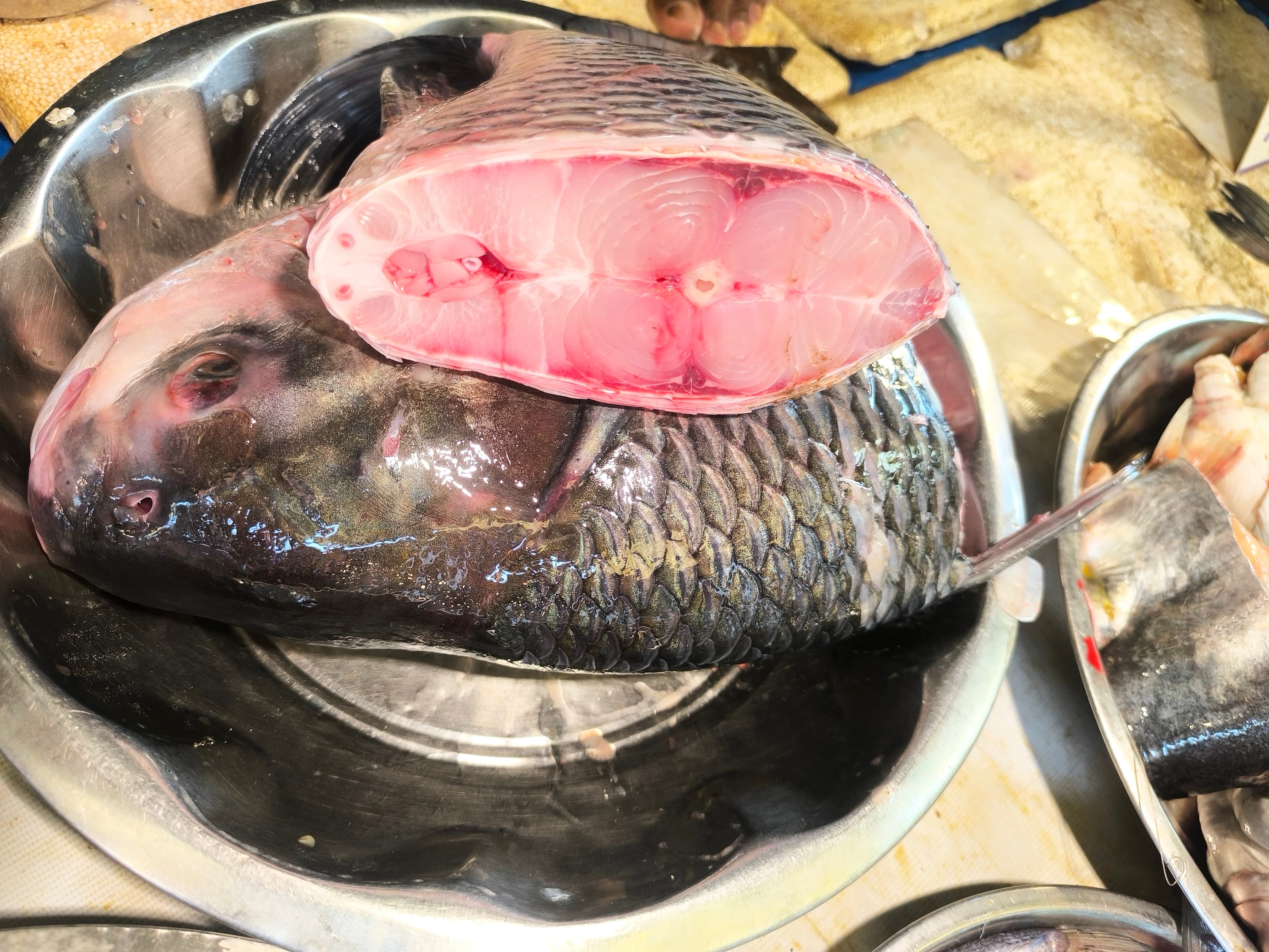 Bihar Katla ( without head and tail) bengali cut 3.5-6 kg size