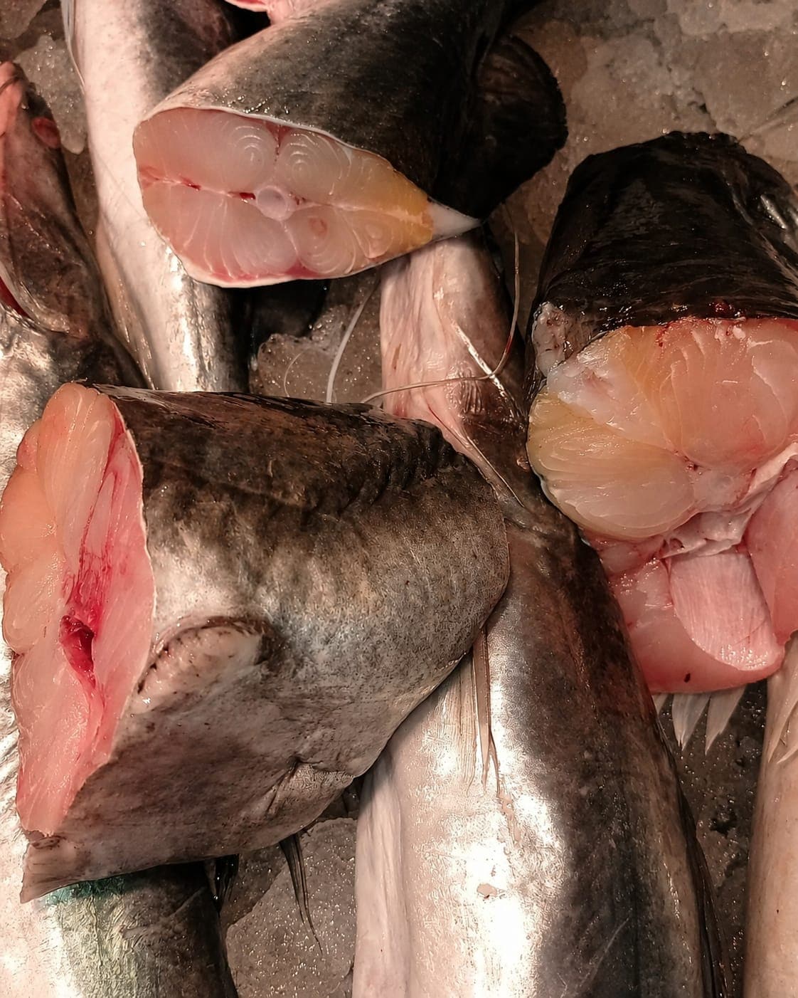 Ayr( Ayr) Fish Large-( 4kg - 6kg) Cut, Cleaned 