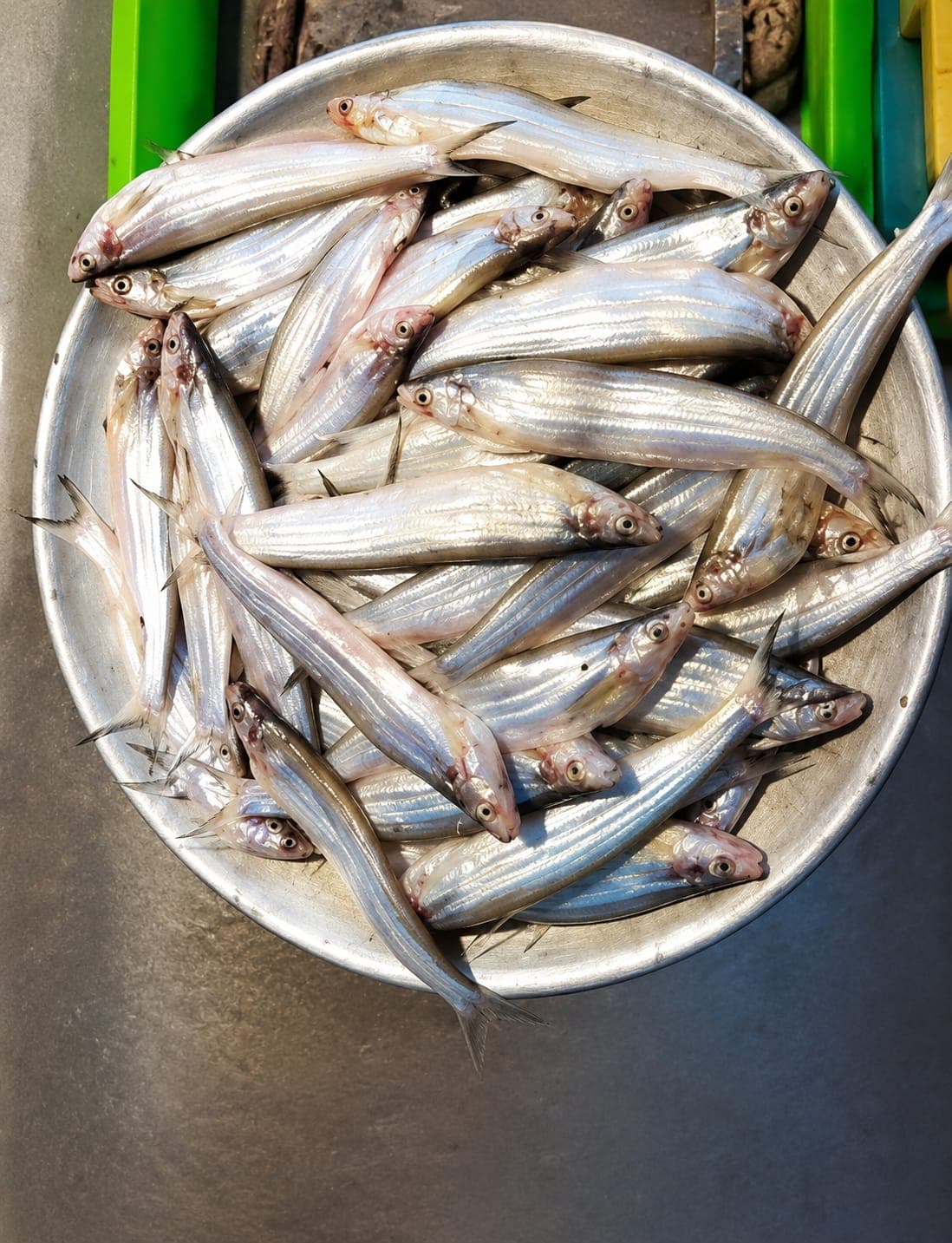 Kajoli Fish - whole,cleaned midium size 
