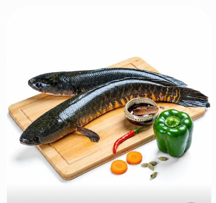 Shol Fish Medium Size, Whole Cleaned (4-5 pcs per500g )