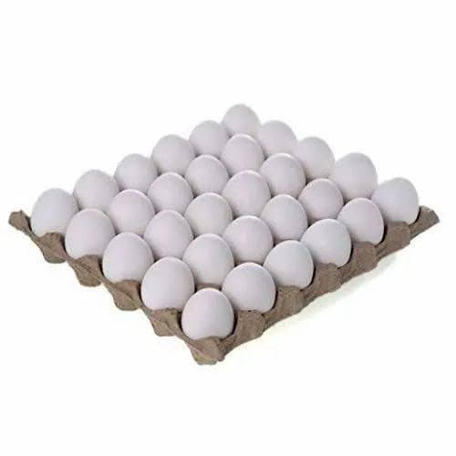 Egg