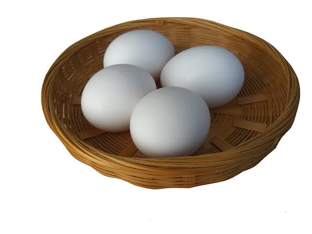 Egg