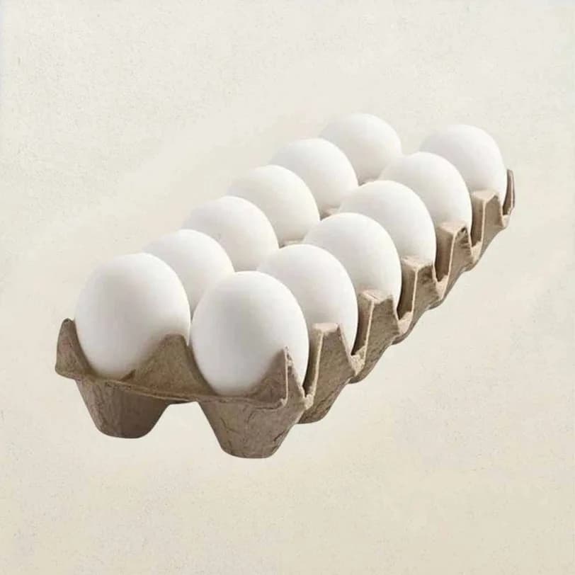 Egg