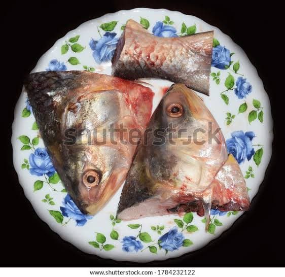 Hilsa ilish/head