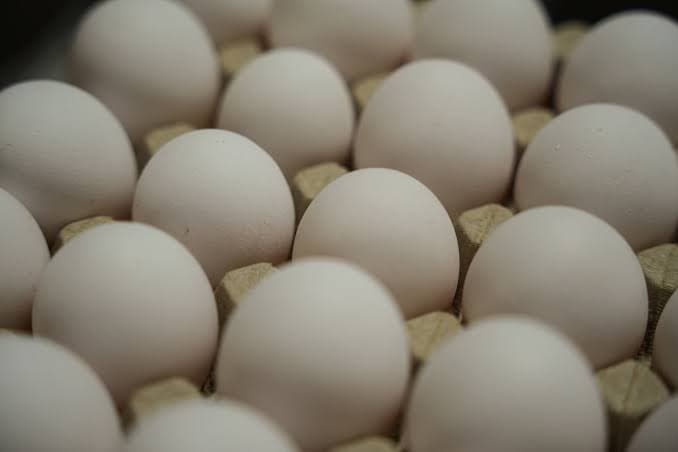 Egg