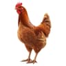 Sonali Chicken