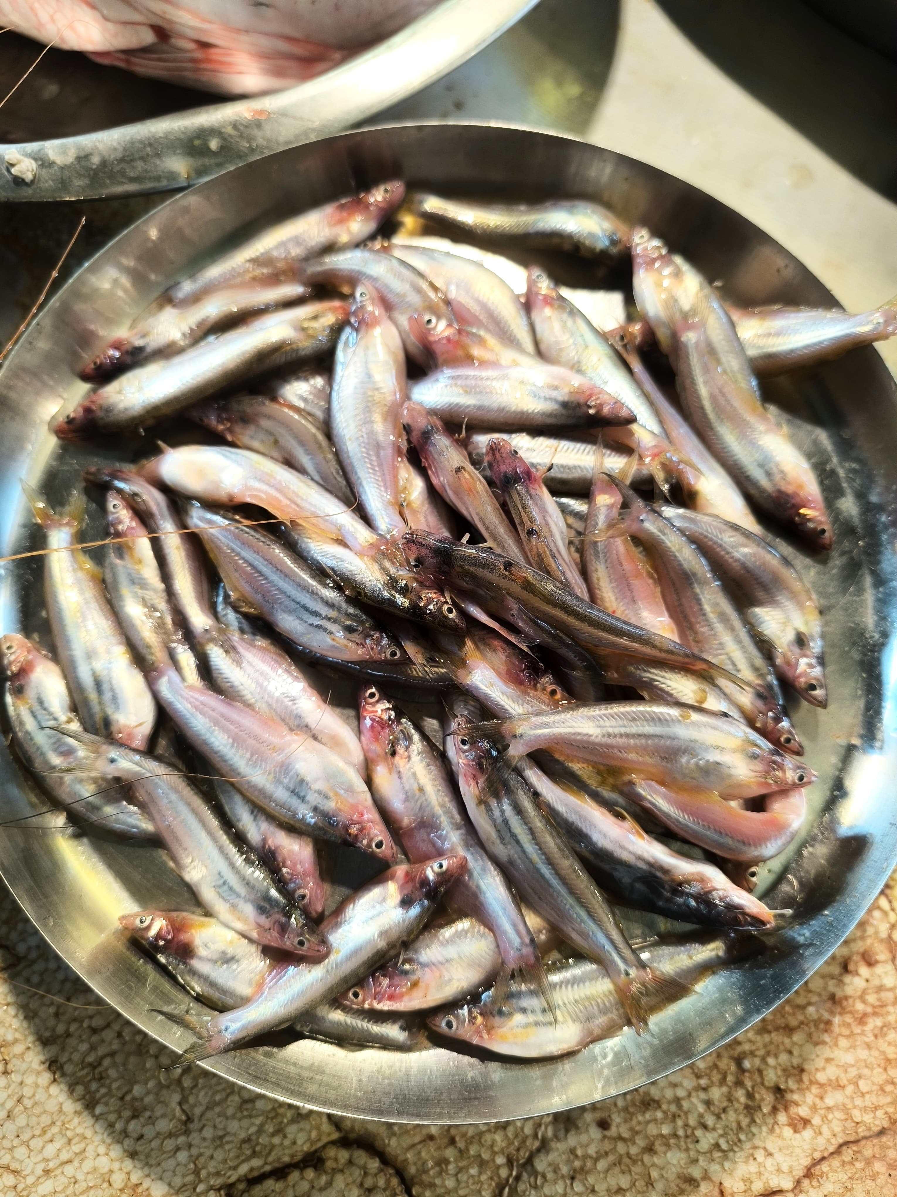 Tinkata Fish  cut and cleaned 