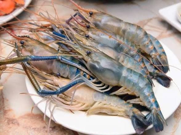 Golda chingri/pawn large each 150g-250g 