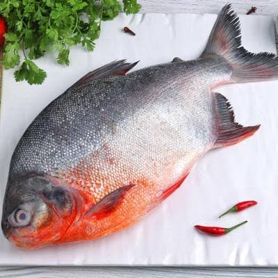 Roopchand Fish cut , cleaned 
