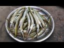 Kauwa Fish ( kaikla mach ) cut and cleaned  - Image 1