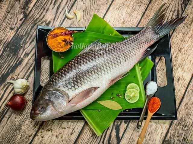 Katla( with head and tail) bengali cut 2.5-3.5 kg gross weight 