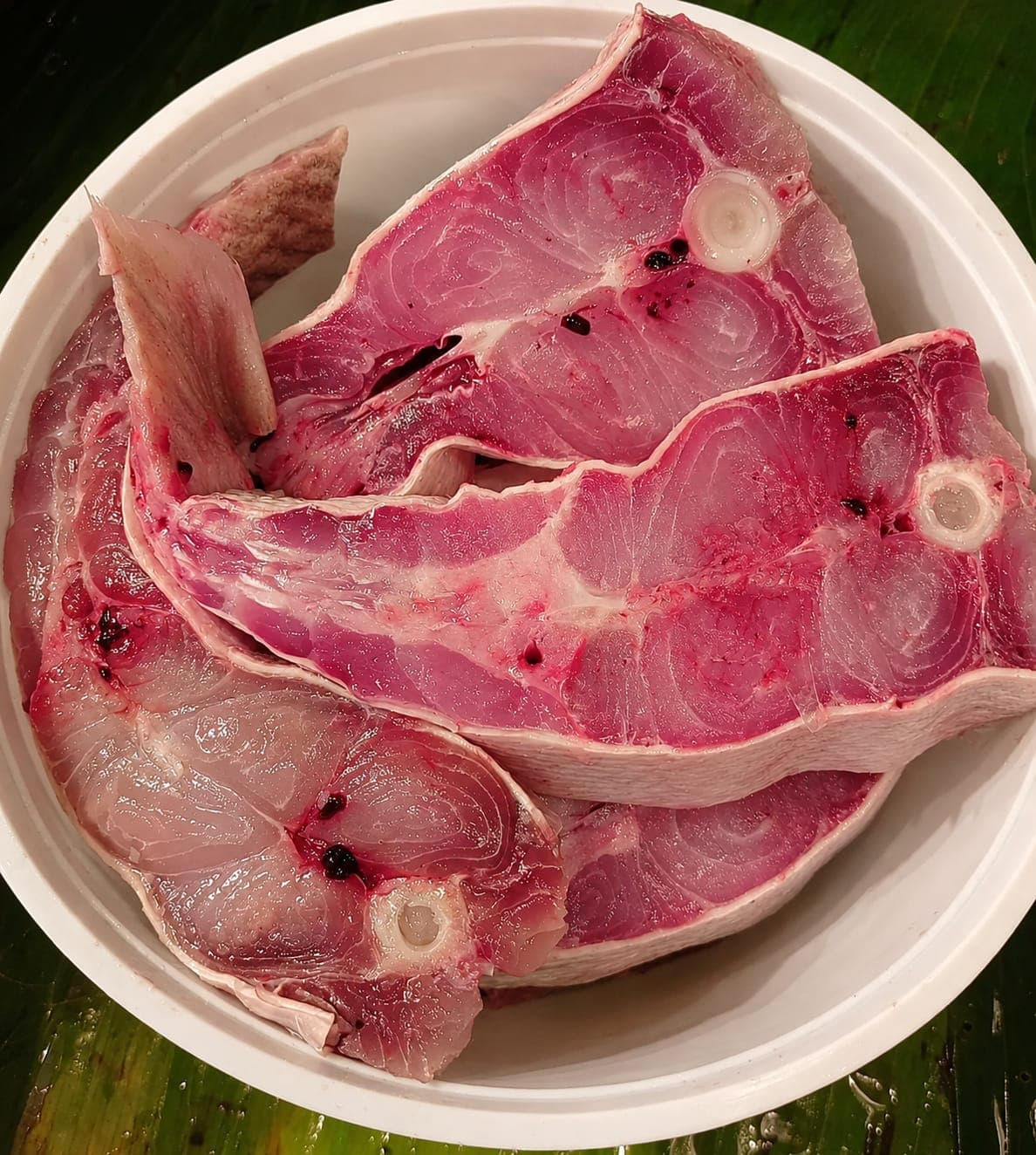 Chitol Fish Large- Belly ( Peti) piece( 7kg-12kg size)