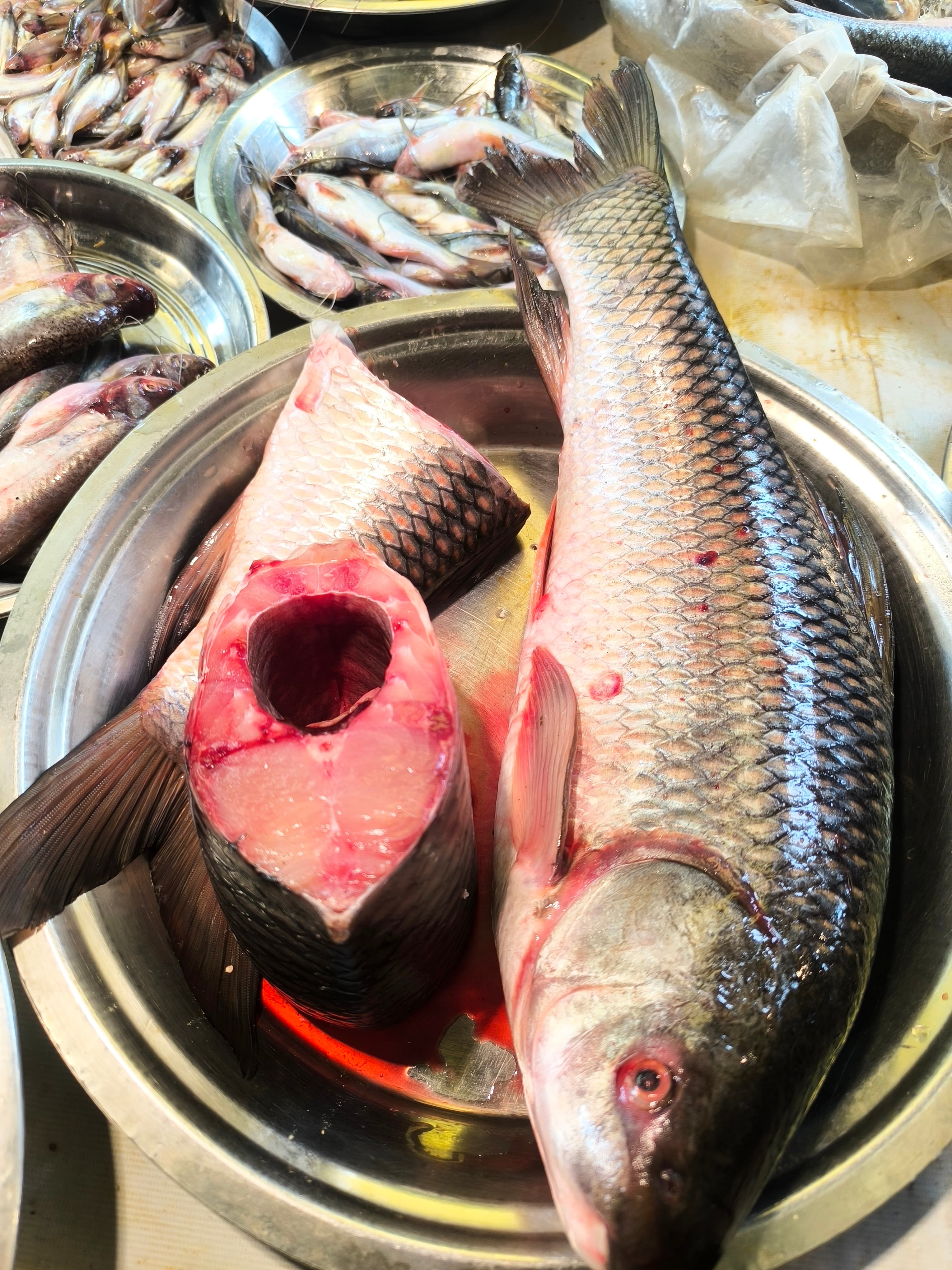  Bihar Rui mach / Rohu ( without head and tail) 3.5kg-5kg gross weight 