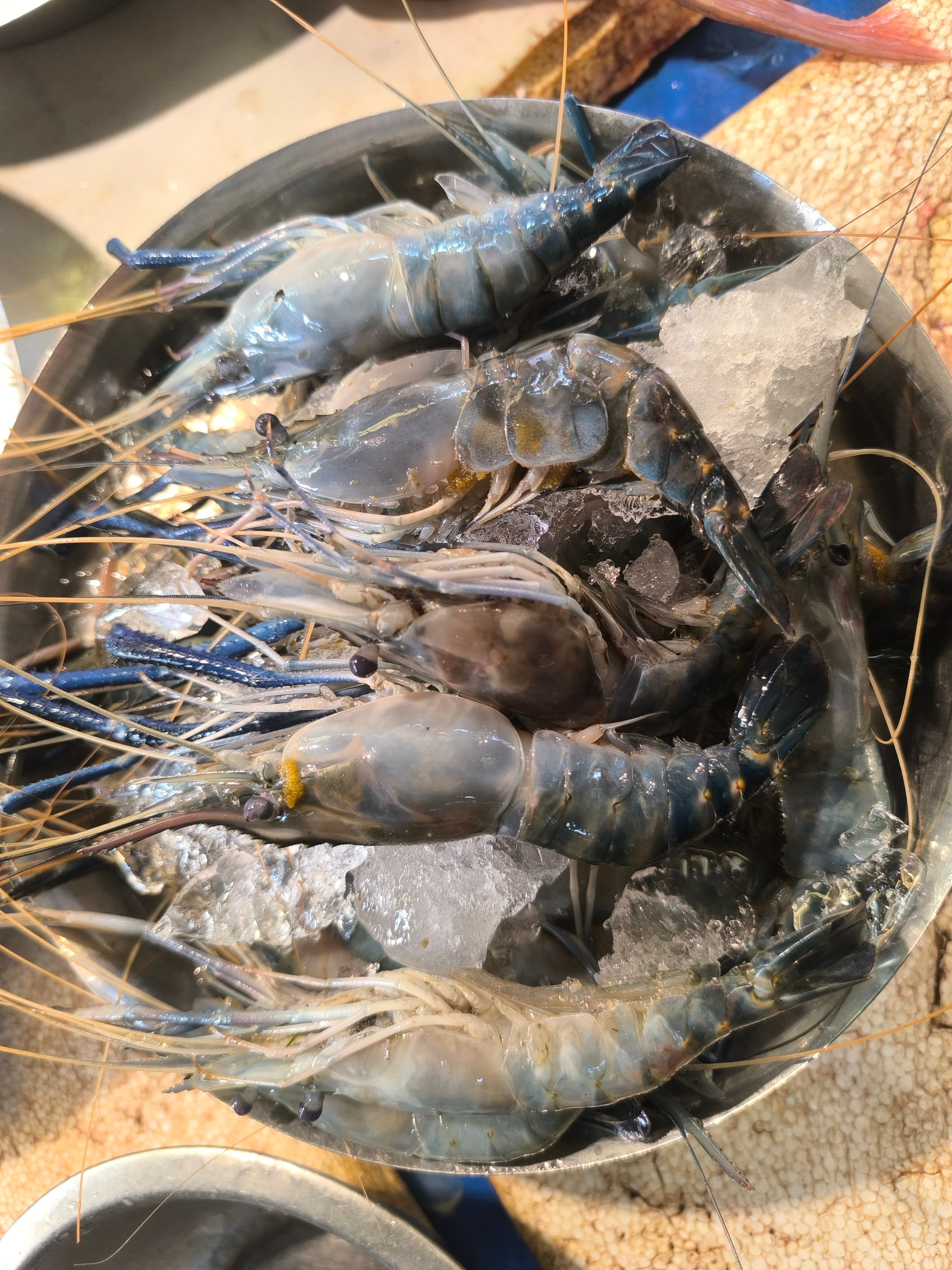 Golda Chingri/pawn regular 20g-25g each