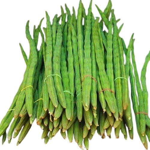 Fresh Drumstick / Moringa