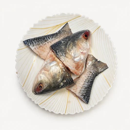 Fresh Catch of the Day — Seasonal & Local