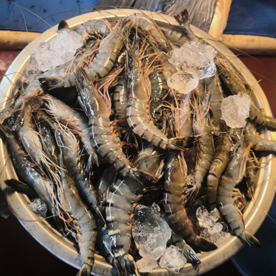 Fresh Prawns — Tiger, Golda & More