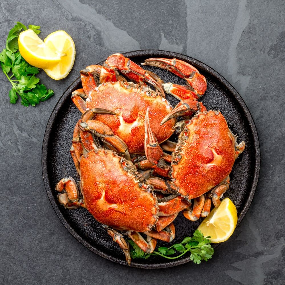 Fresh Crabs — Mud Crab, River Crab & More